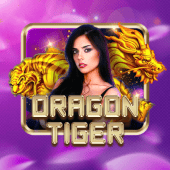 Dragon Tiger big bunny casino live game